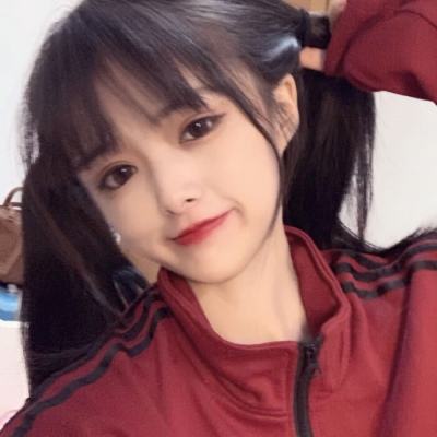 出战追击bt版下载